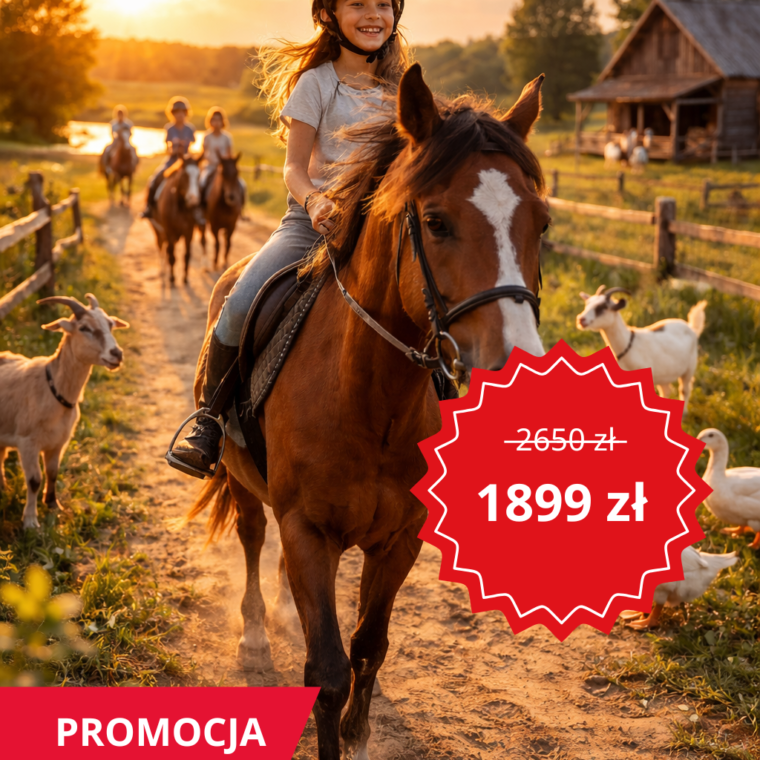 PROMOCJA1-760x760.png